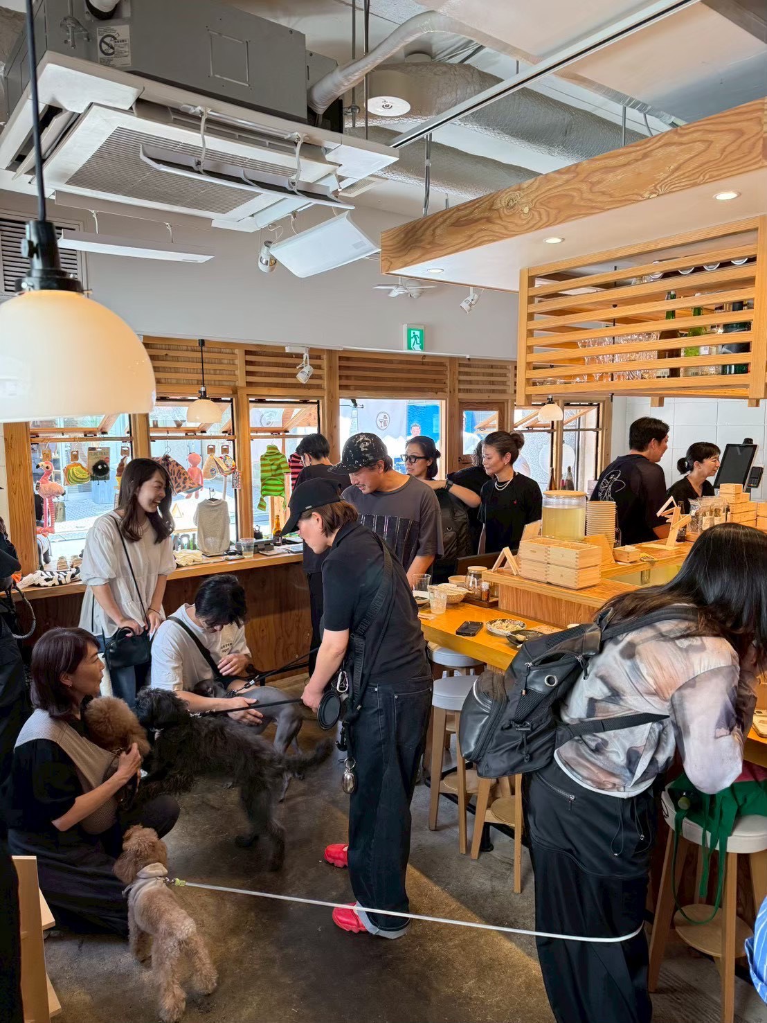 人と犬が集まる前回のYOIの店内
